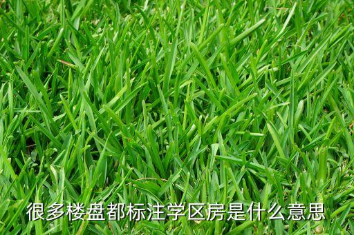 海璟宸章属于哪个学区房，很多楼盘都标注学区房是什么意思