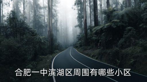 合肥一中学区房有哪些，合肥滨湖哪些小区是学区房