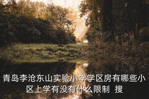 青岛李沧东山实验小学学区房有哪些小区上学有没有什么限制  搜