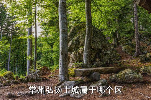 常州弘扬上城属于哪个区