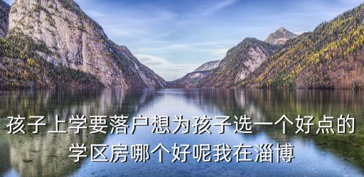 孩子上学要落户想为孩子选一个好点的学区房哪个好呢我在淄博