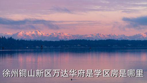 徐州铜山新区万达华府是学区房是哪里