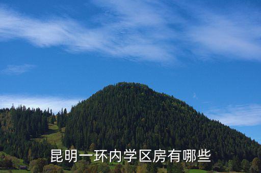 区学区房有哪些，都有哪些楼盘是学区房啊