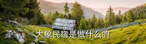 大象民宿是做什么的