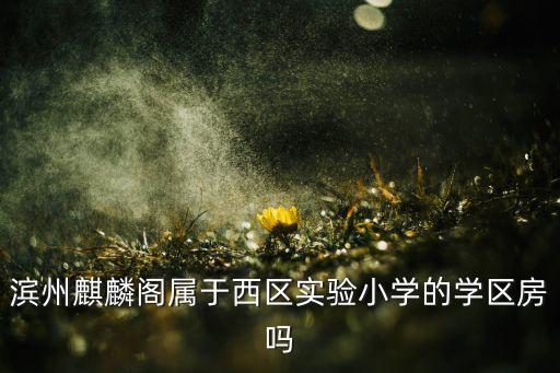 滨州麒麟阁属于西区实验小学的学区房吗