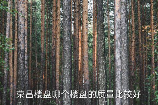 荣昌楼盘哪个楼盘的质量比较好