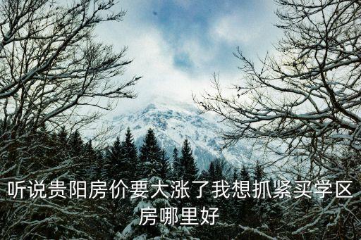 听说贵阳房价要大涨了我想抓紧买学区房哪里好