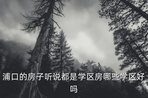浦口的房子听说都是学区房哪些学区好吗