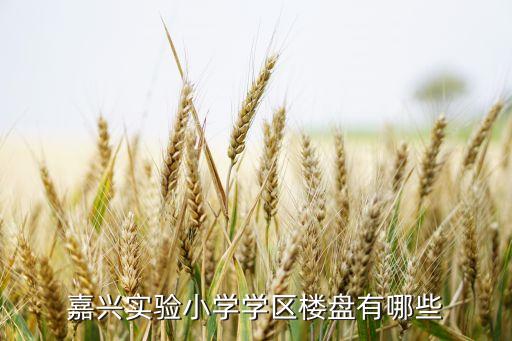 嘉兴实验小学学区楼盘有哪些