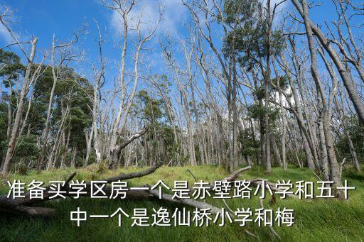 深圳龙华区哪个小学学区房，请问深圳龙华新区那里有成熟小区带学位房的