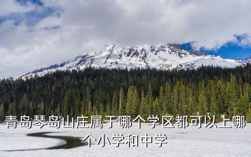 青岛琴岛山庄属于哪个学区都可以上哪个小学和中学