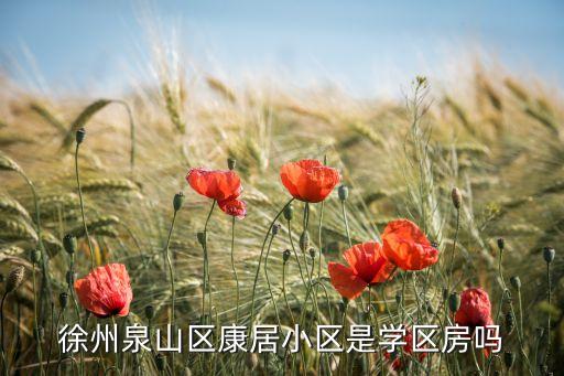 徐州泉山区康居小区是学区房吗