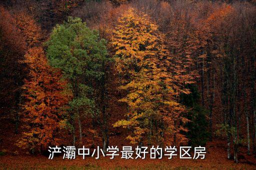 浐灞中小学最好的学区房
