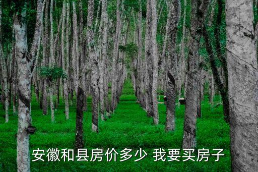 安徽和县房价多少 我要买房子