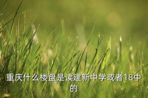 重庆什么楼盘是读建新中学或者18中的