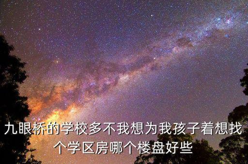 九眼桥的学校多不我想为我孩子着想找个学区房哪个楼盘好些