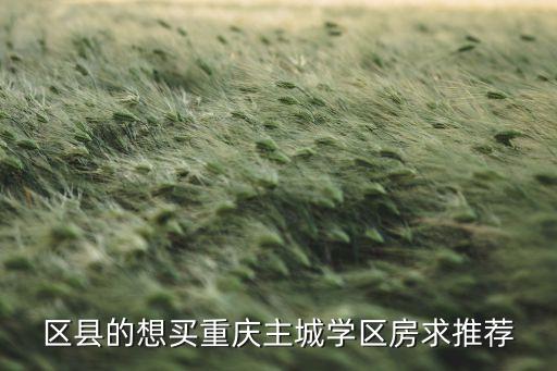 区县的想买重庆主城学区房求推荐