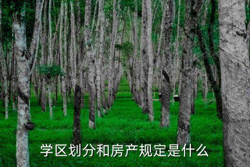学区划分和房产规定是什么