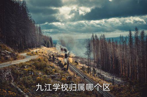九江学校归属哪个区