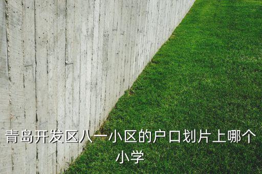 青岛开发区八一小区的户口划片上哪个小学