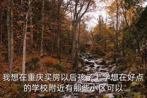 重庆的学区房哪个最好，考虑孩子以后上学现在重庆有哪些小区可以读比较好的