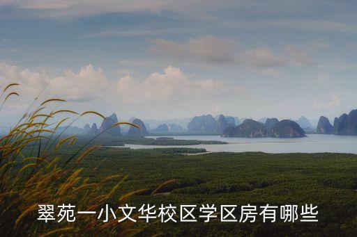翠苑一小文华校区学区房有哪些