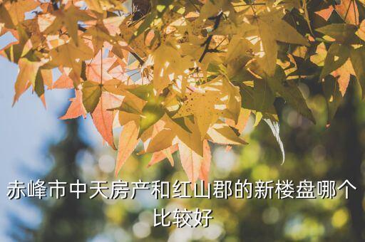 赤峰学区房选哪个好，赤峰红山区哪个小学最好