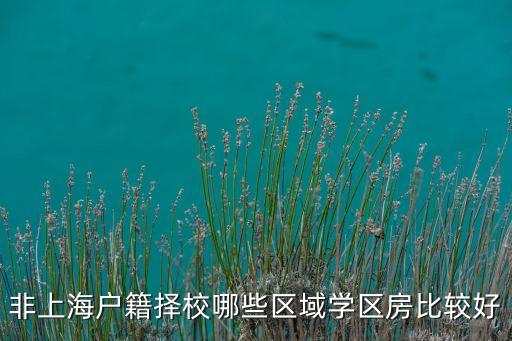 非上海户籍择校哪些区域学区房比较好