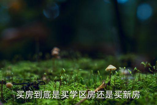 买房到底是买学区房还是买新房
