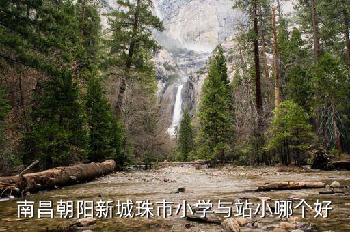 南昌朝阳新城珠市小学与站小哪个好