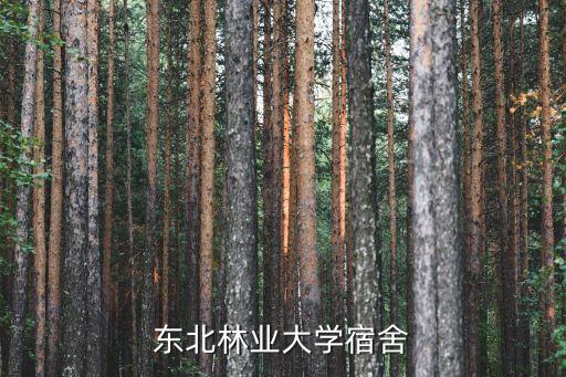 东林学区房哪个好，东林小学和旺庄小学那个更好些