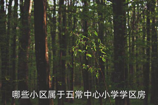 哪些小区属于五常中心小学学区房