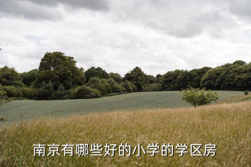 南京海峡城哪个学区房最好，请问南京哪边的双学区房性价比更好拉小和芳草园哪个更好啊  搜