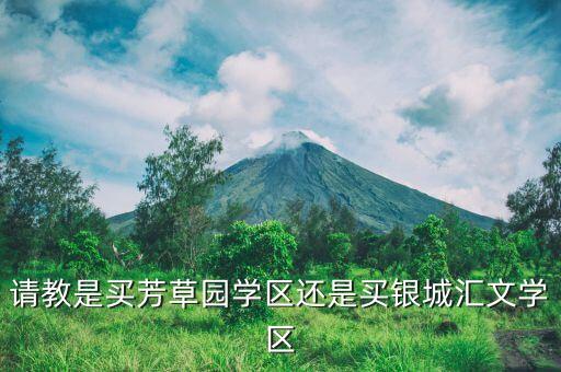 河西学区房买哪个好，请教是买芳草园学区还是买银城汇文学区