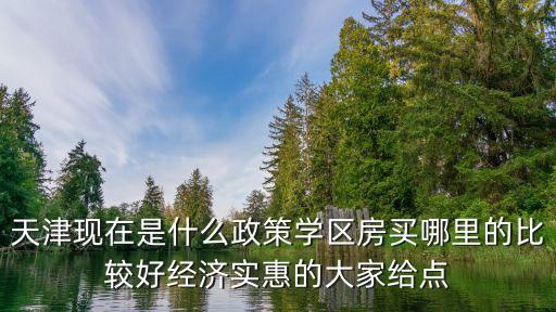 天津现在是什么政策学区房买哪里的比较好经济实惠的大家给点