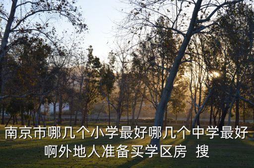 南京市哪几个小学最好哪几个中学最好啊外地人准备买学区房  搜