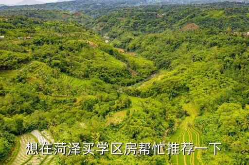 菏泽花城小学学区房有哪些，菏泽市牡丹区实验小学学区房都有哪些小区