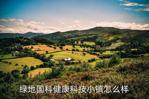 绿地国科健康科技小镇怎么样