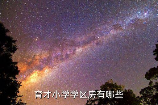 育才小学学区房有哪些