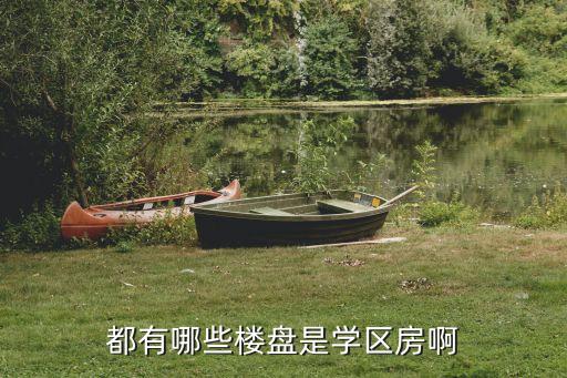 lse学区房有哪些，都有哪些楼盘是学区房啊
