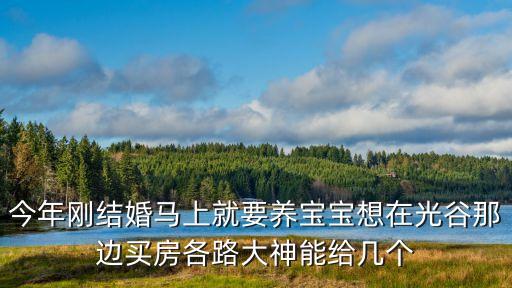 光谷哪个学区房好住点，今年刚结婚马上就要养宝宝想在光谷那边买房各路大神能给几个