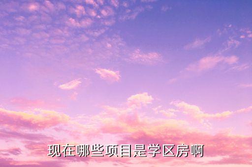 横沥哪些是学区房，现在哪些项目是学区房啊