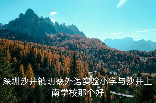 深圳沙井学区房哪个最好，深圳沙井镇明德外语实验小学与沙井上南学校那个好