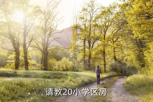 九龙湖哪个小学区房好租，请教20小学区房