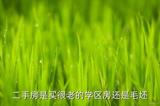 二手房是买很老的学区房还是毛坯