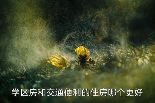 学区房和改善型住房哪个好，学区房和改善型住房该选择买哪个