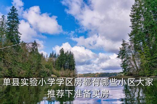 单县实验小学学区房都有哪些小区大家推荐下准备买房