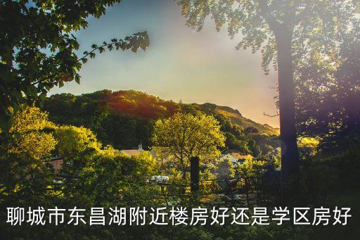聊城交通便利学区房哪个好，聊城市东昌湖附近楼房好还是学区房好