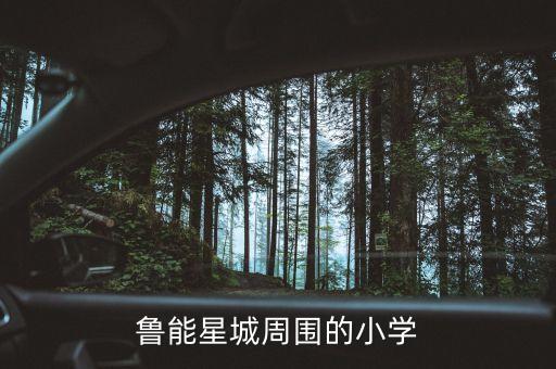 鲁能星城周围的小学