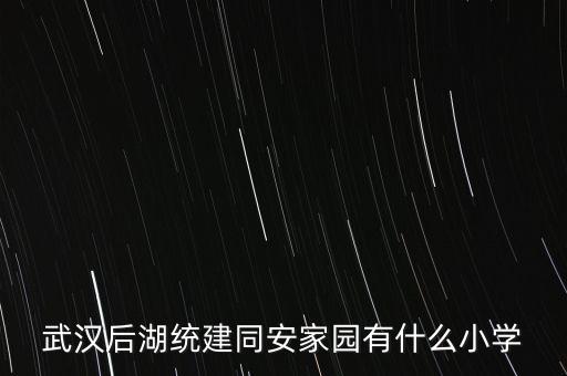 武汉后湖统建同安家园有什么小学